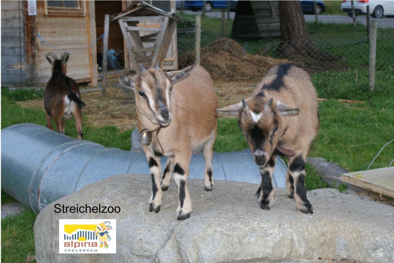 Ferien- Und Familienhotel Alpina Adelboden Buitenkant foto