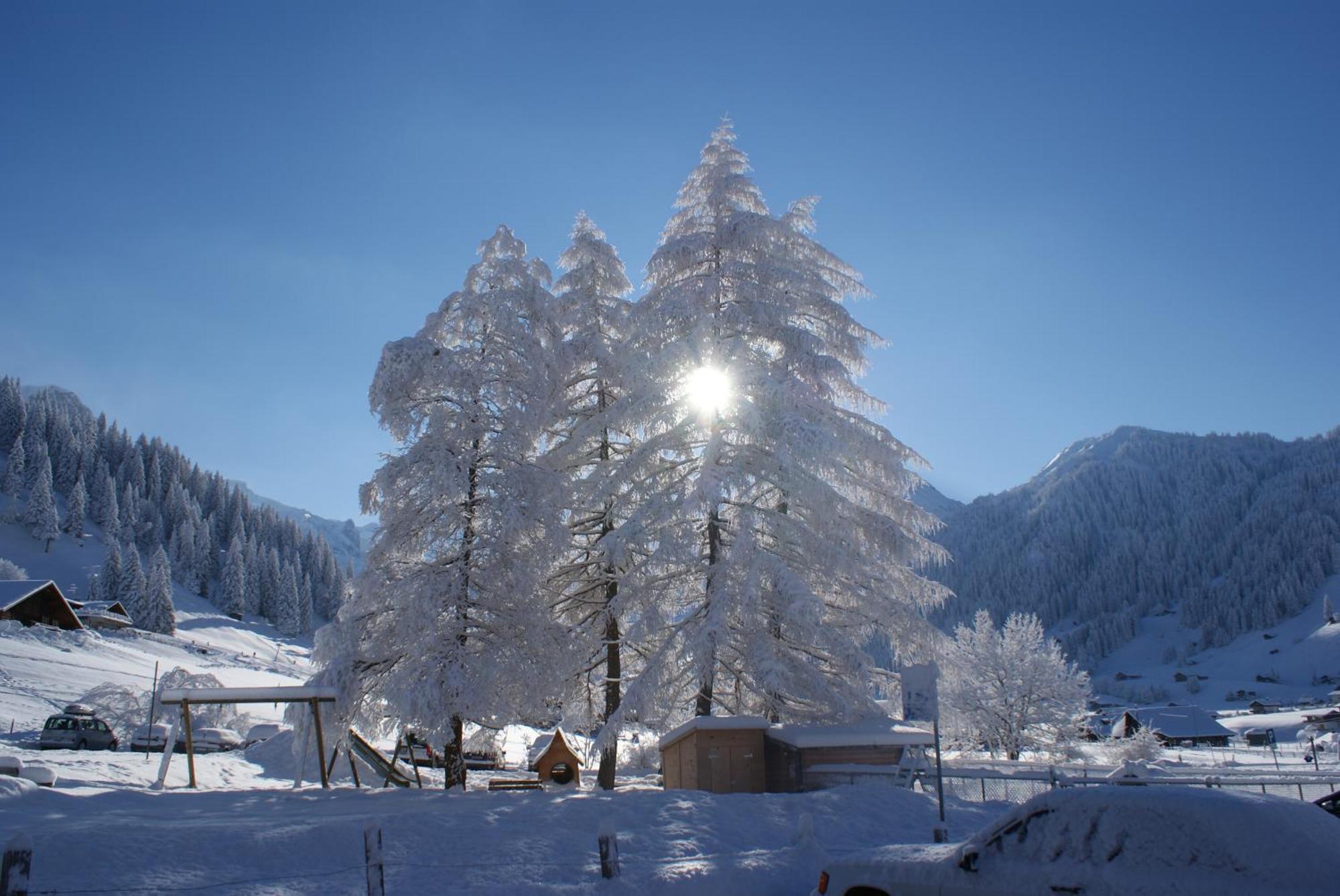 Ferien- Und Familienhotel Alpina Adelboden Buitenkant foto